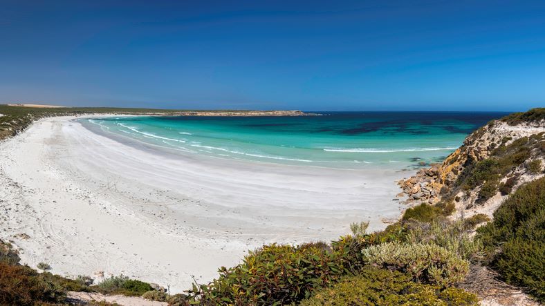Road Trip South Australia