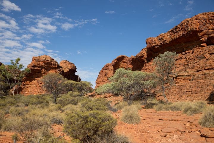 Australis's great walks