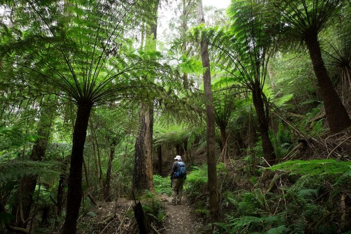 Australia's great walks